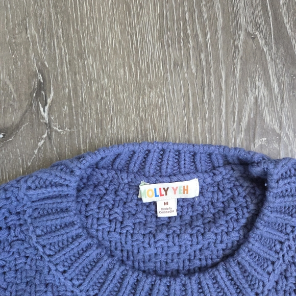 Molly Yeh Tractor Supply Blue Rooster Sweater - Picture 2 of 3